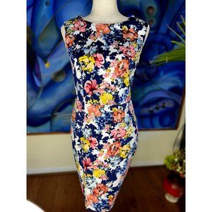 The Limited Floral Multicolor Sleeveless Sheath Dress Womens Size 6 w/lining